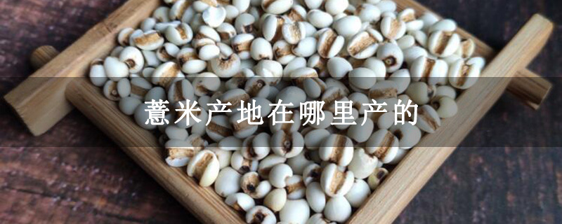 薏米产地在哪里产的