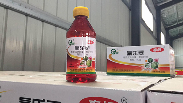 春季杂草防治关键点