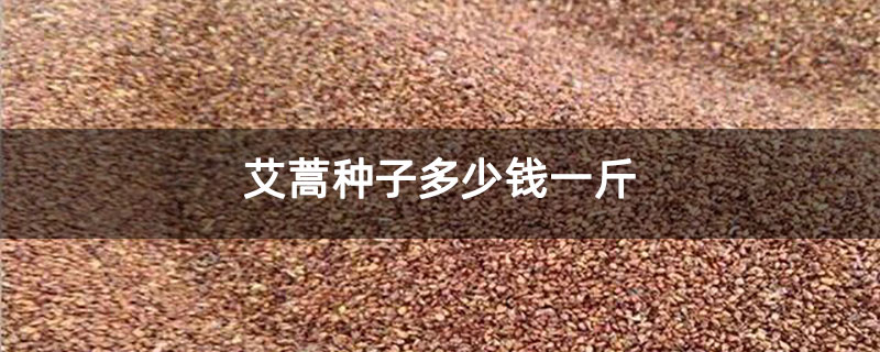 艾蒿种子多少钱一斤
