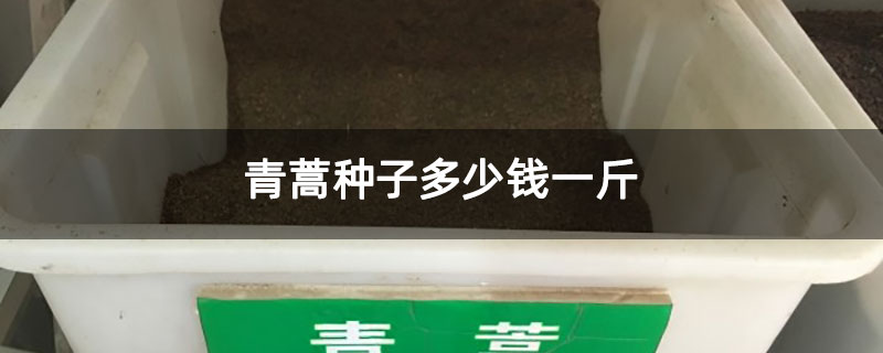 青蒿种子多少钱一斤 青蒿种子多少钱一斤