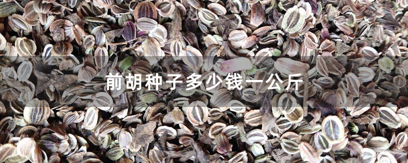 前胡种子多少钱一公斤