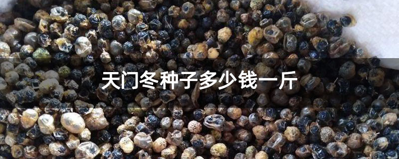 天门冬种子多少钱一斤 天门冬种子多少钱一斤