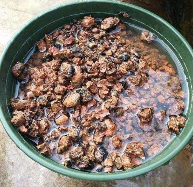 5种养花“万能土”，花不烂根，根系壮!