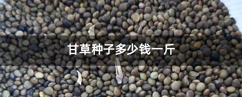 甘草种子多少钱一斤 甘草种子多少钱一斤