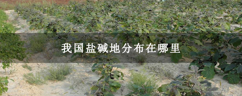 我国盐碱地分布在哪里