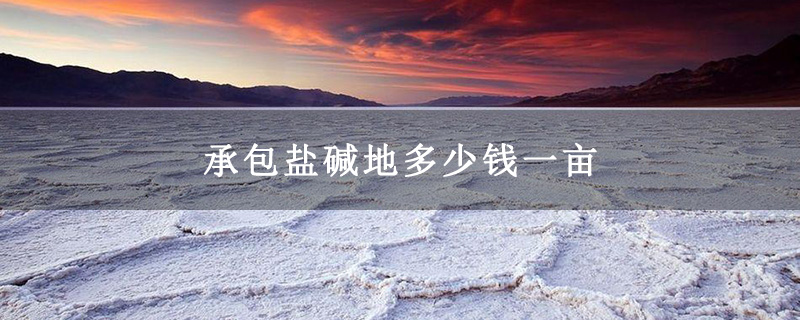 承包盐碱地多少钱一亩