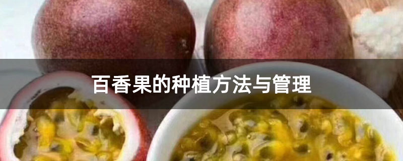 百香果的种植方法与管理