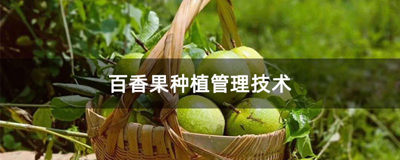 百香果种植管理技术