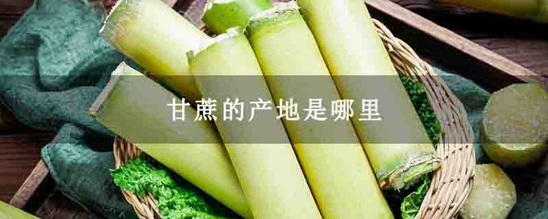 甘蔗的产地是哪里
