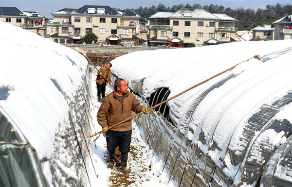 大棚除雪