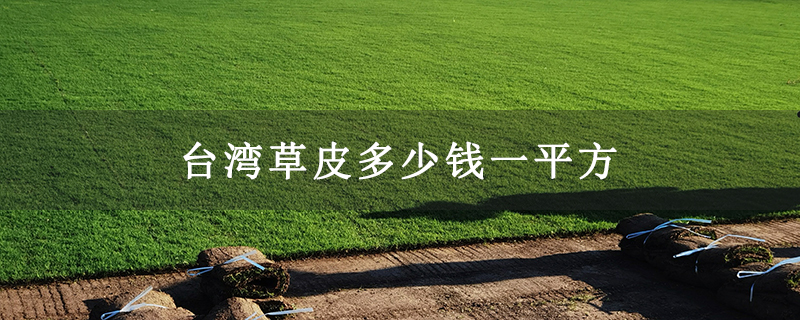 台湾草皮多少钱一平方