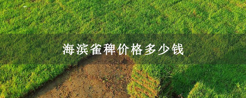 海滨雀稗价格多少钱