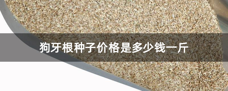 狗牙根种子价格是多少钱一斤 狗牙根种子价格是多少钱一斤