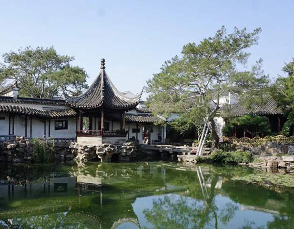 新栽的白皮松怎么浇水？白皮松浇水注意事项