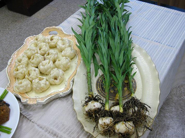 如何种植百合花种球?百合花种球种植方法g