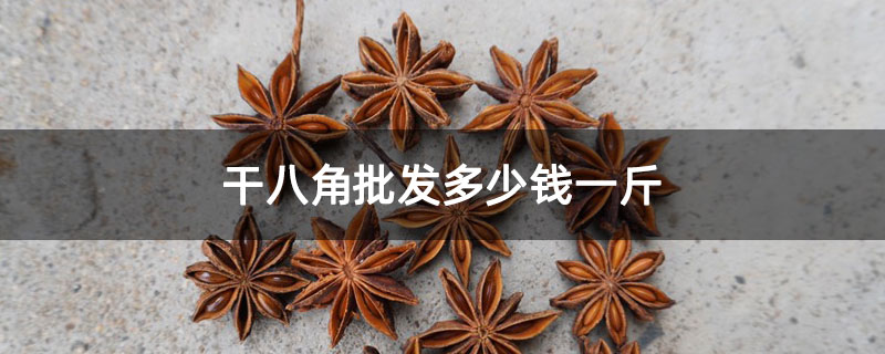 干八角批发多少钱一斤 干八角批发多少钱一斤