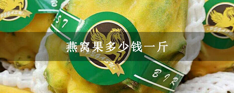 燕窝果多少钱一斤