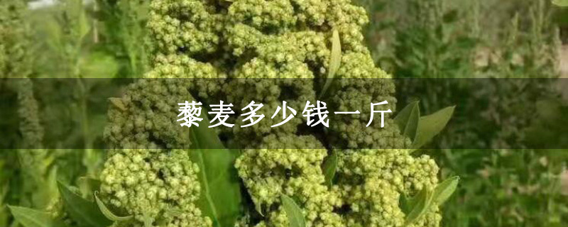 藜麦多少钱一斤
