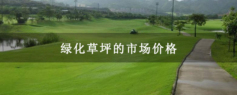 绿化草坪的市场价格