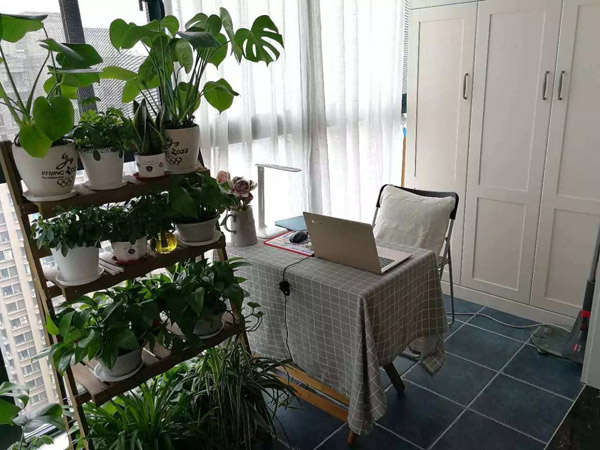 封闭阳台如何把花养好？