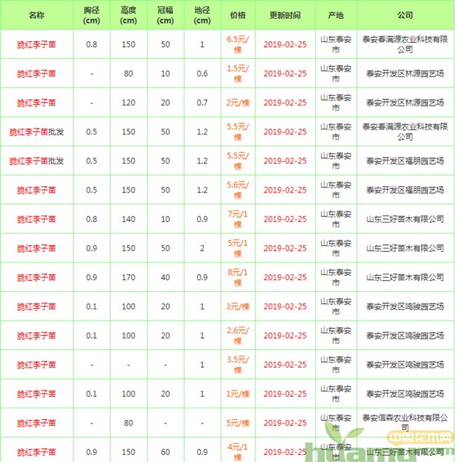 脆红李子苗批发价格.png