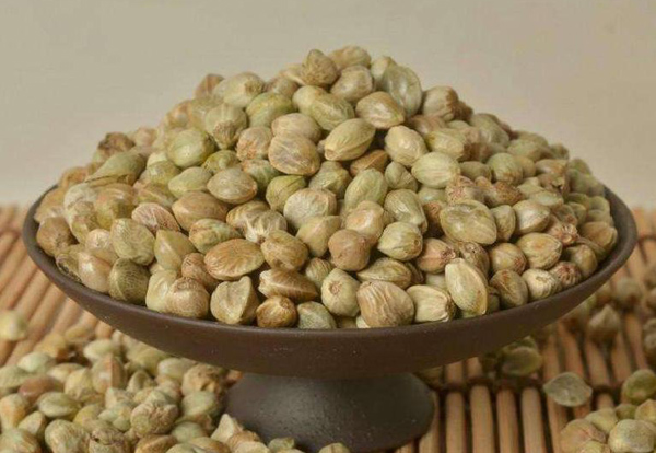 火麻仁多少钱一棵？2020年火麻仁价格最新行情预测
