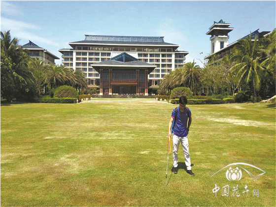 冷季型草坪如何安全越夏?