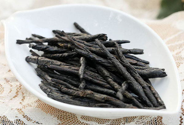 苦丁茶怎样种植？苦丁茶的种植技术
