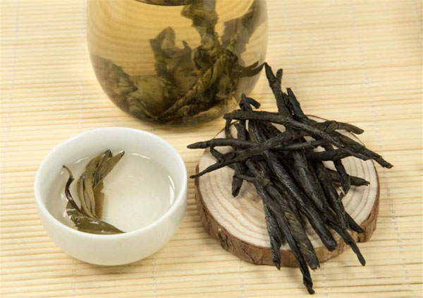 苦丁茶