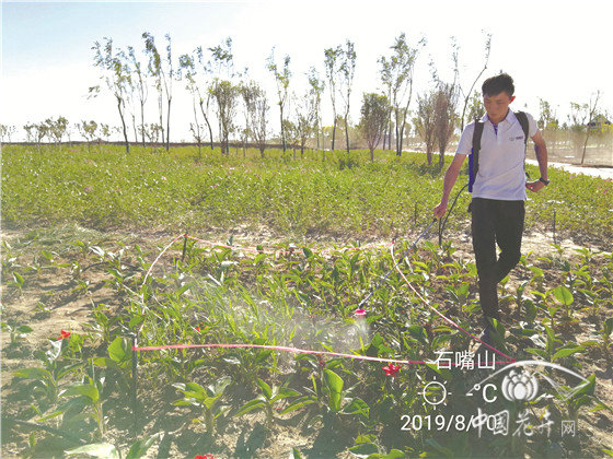影响除草剂药效的16个因素