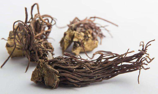 返魂草适合哪里种植？返魂草种植技术