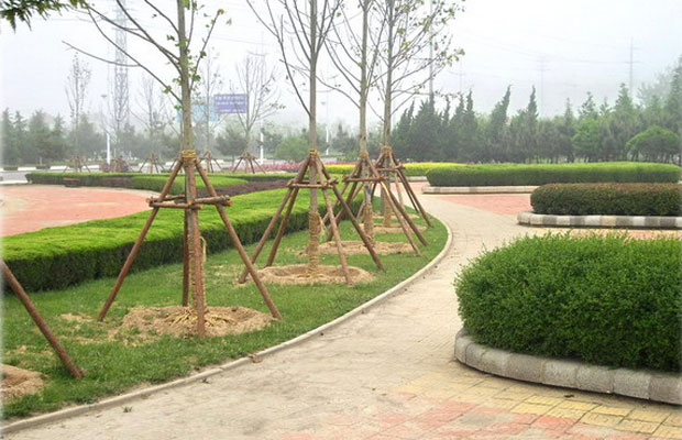 绿化工程2.jpg