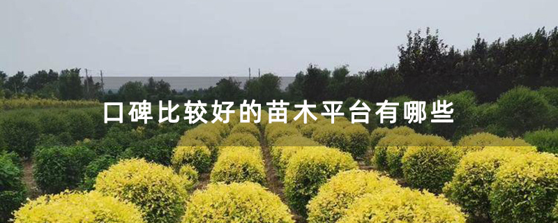 口碑比较好的苗木平台有哪些