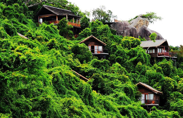 森林旅游2.jpg