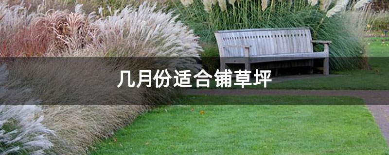 几月份适合铺草坪 几月份适合铺草坪