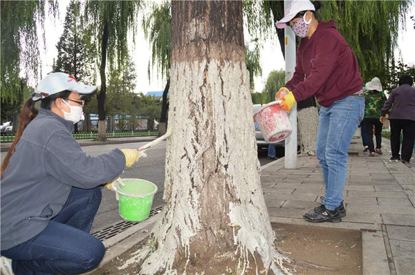 苗木涂白