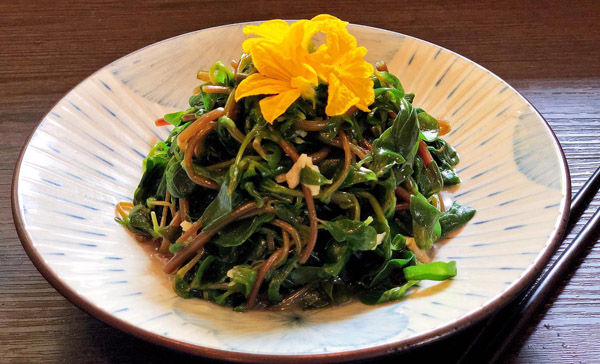 马齿苋拌菜