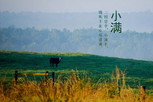 小满节气2.jpg