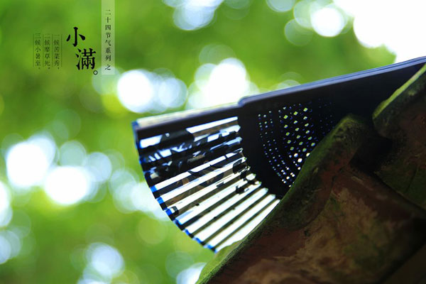 小满节气10.jpg