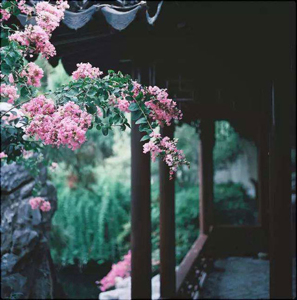 小满节气.jpg