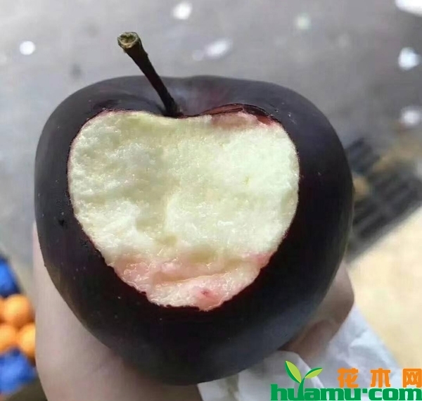 黑苹果