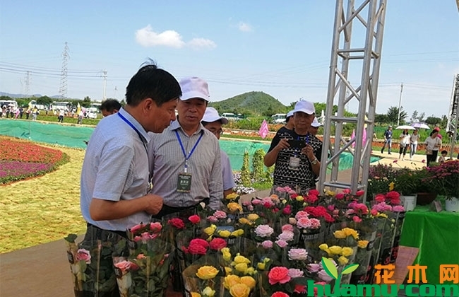 云南砚山成功举办蔬果花园艺博览会 云南砚山成功举办蔬果花园艺博览会