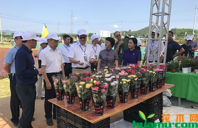 云南砚山成功举办蔬果花园艺博览会 云南砚山成功举办蔬果花园艺博览会