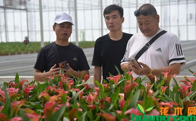 云南砚山成功举办蔬果花园艺博览会 云南砚山成功举办蔬果花园艺博览会