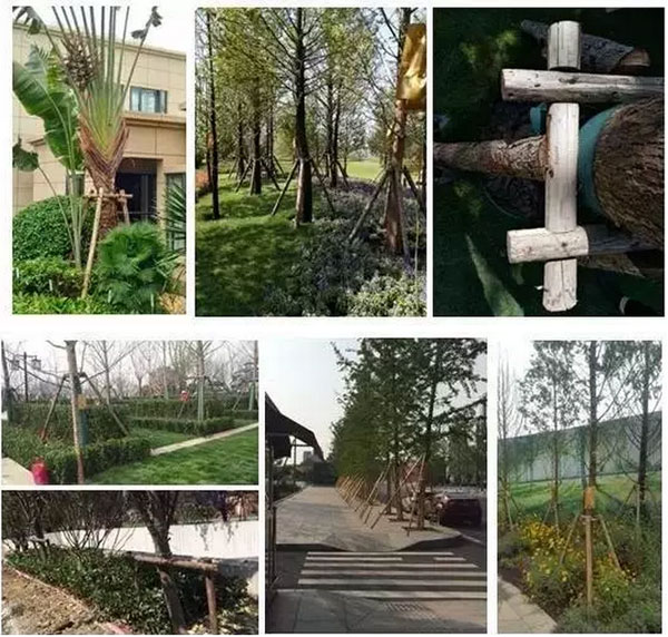 齐鲁3.jpg