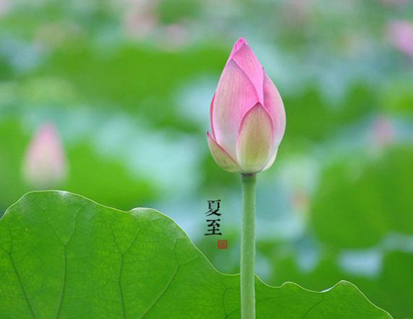 夏至