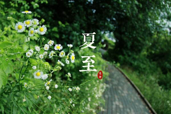 夏至3.jpg