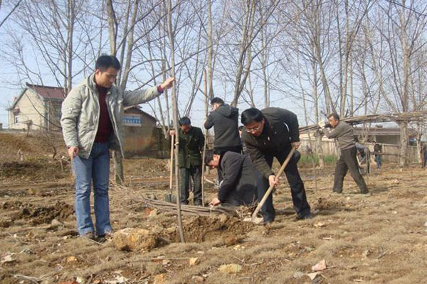 树穴深层土2.jpg