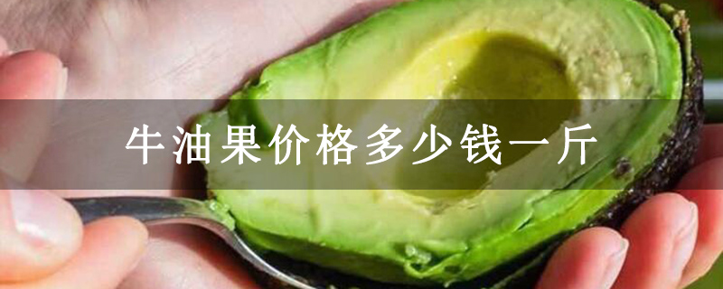 牛油果价格多少钱一斤
