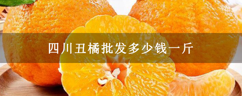 四川丑橘批发多少钱一斤
